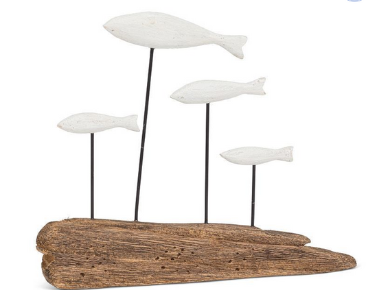 Fish On Driftwood
