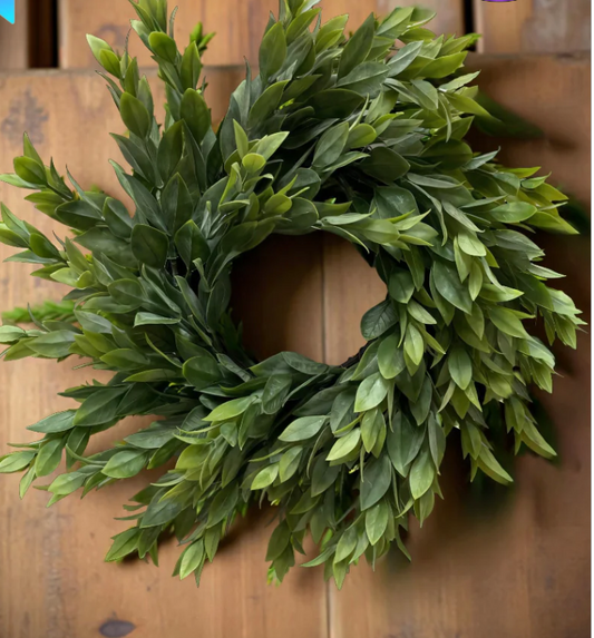 11.5" Ruscus Wreath