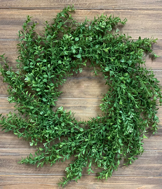 24" Common Boxwood Wreath