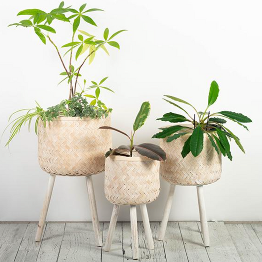 Whitewash Bamboo Plant Stand