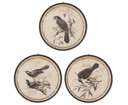 Round Bird Pen & Ink Wall Decor