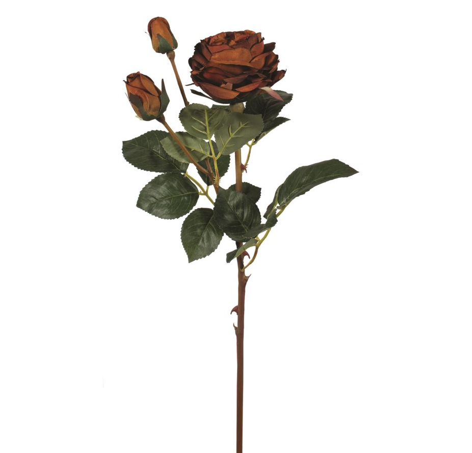 Brown Spray Rose Pick