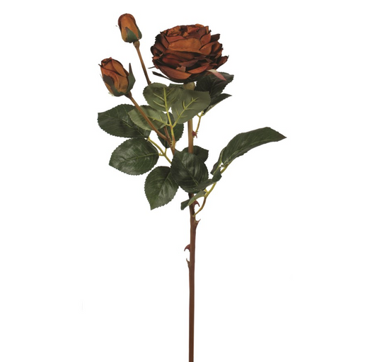 Brown Spray Rose Pick
