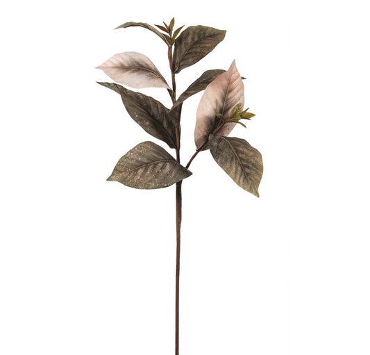 Magnolia Leaf Pick