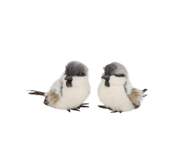 Table Top White & Grey Bird ASST
