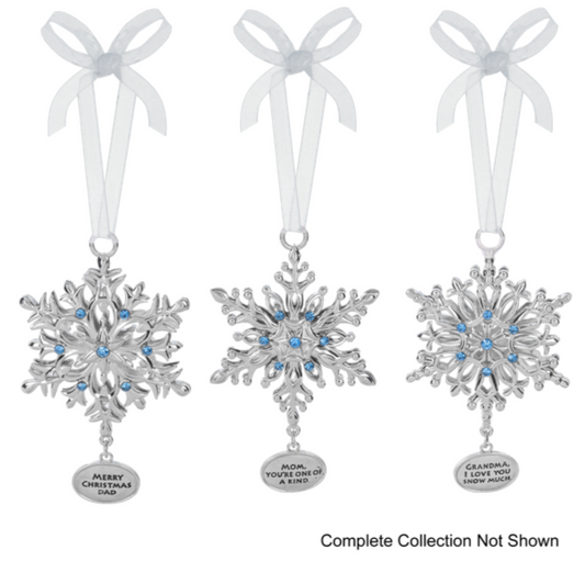 Wish Upon A Snowflake Ornament ASST