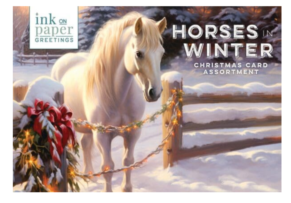 Christmas Card Box Set