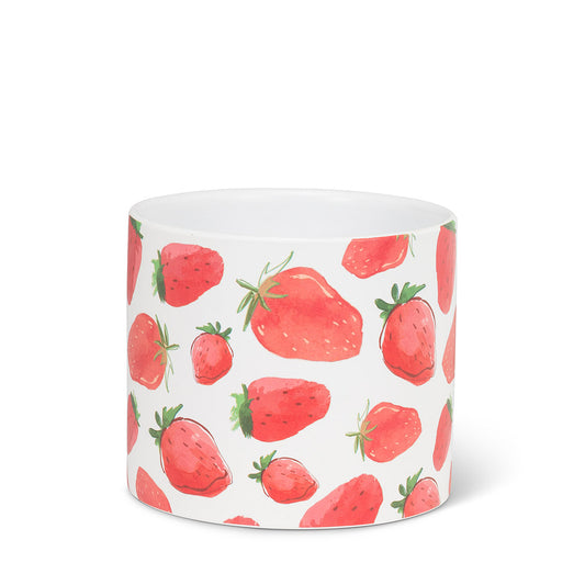 Sm Strawberries Planter