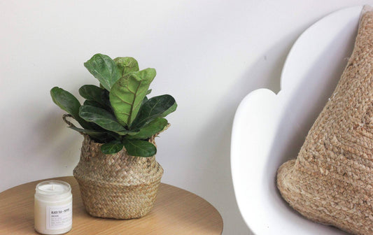 Seagrass Basket 6”