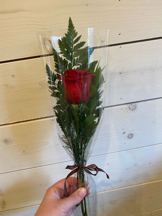 Single Wrapped Rose